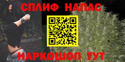 мяу мяу мука Лесосибирск
